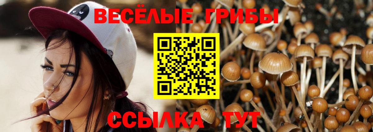 Псилоцибиновые грибы MAGIC MUSHROOMS Новый Уренгой